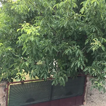 Apartament Art De Lux Višnjan